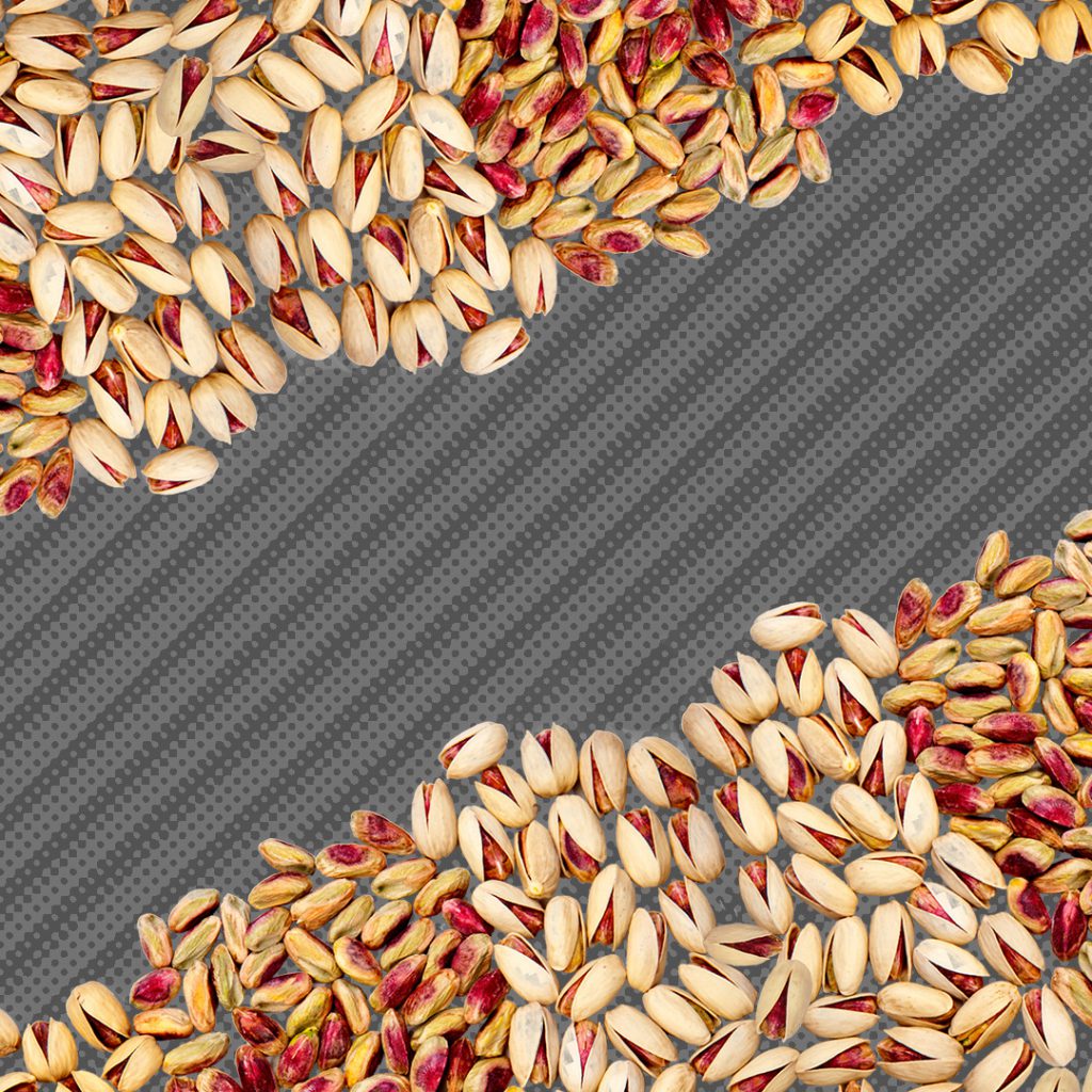 خرید و فروش پسته و مغز پسته