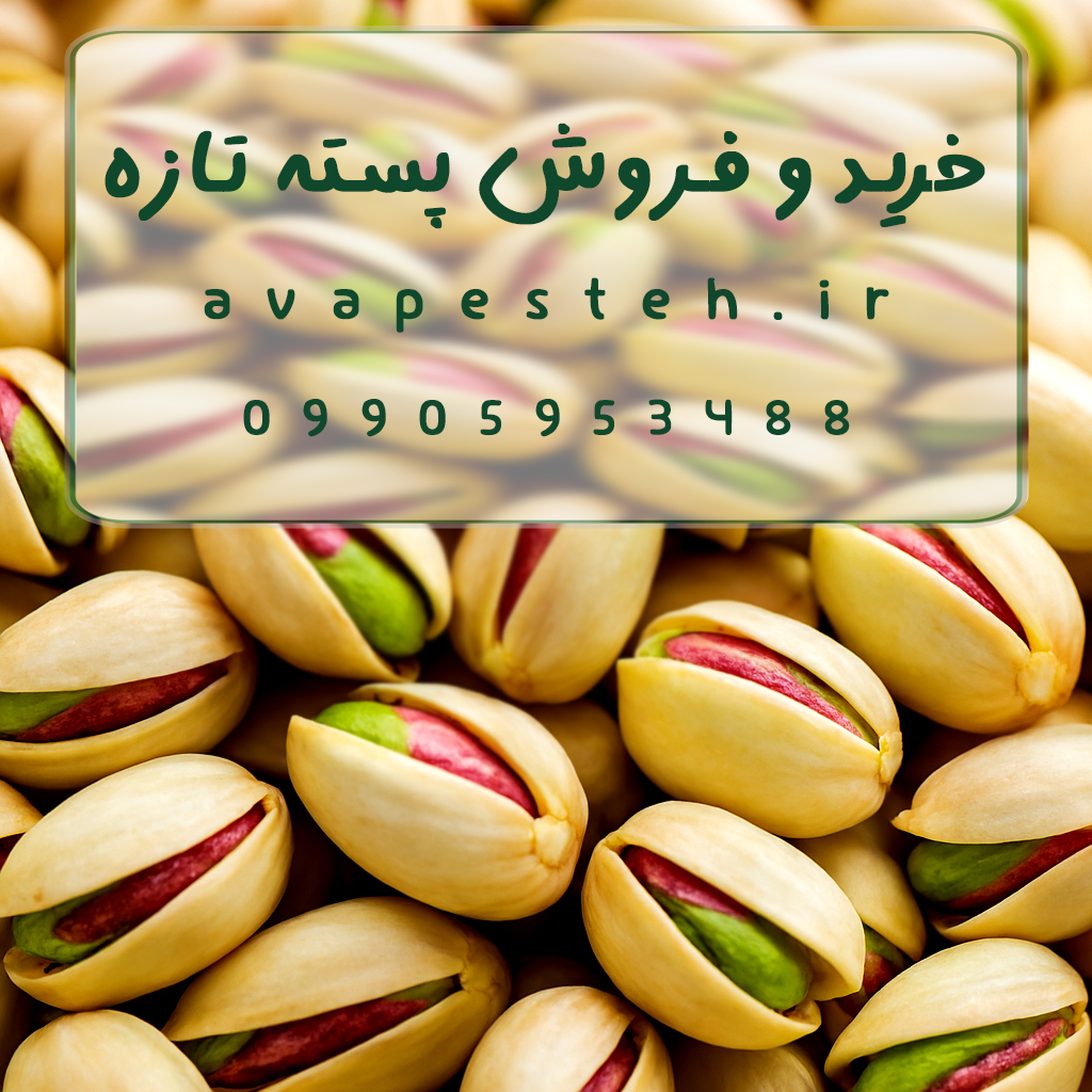 خرید پسته - فروش پسته